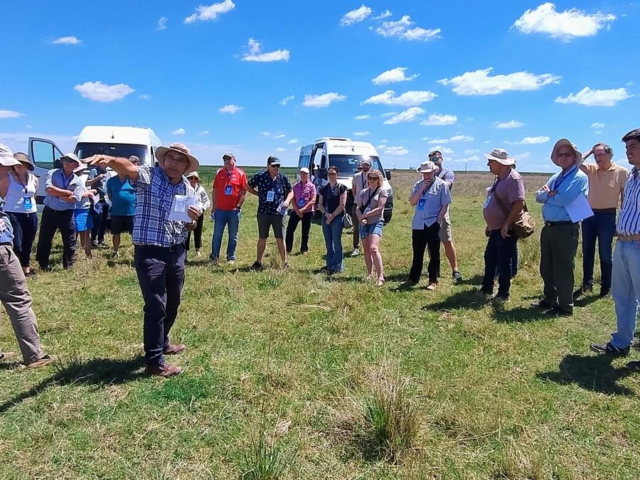 Un grupo de productores recorre un potrero durante una jornada a campo.